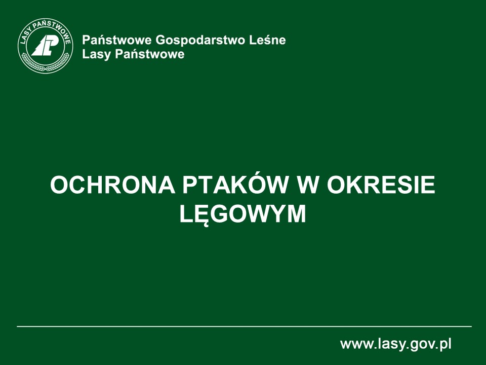 Ochrona ptaków w okresie lęgowym