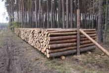 Detaliczna sprzedaż drewna dla klientów indywidualnych