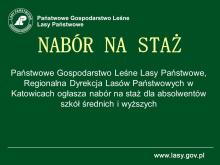 Nabór na staż