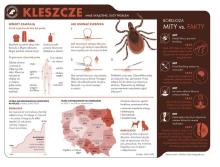 Bezpieczne lato w lesie